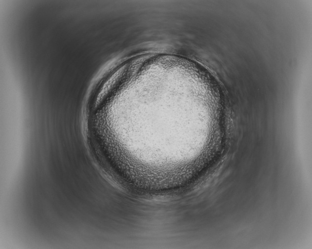 X0000112940149200909141354