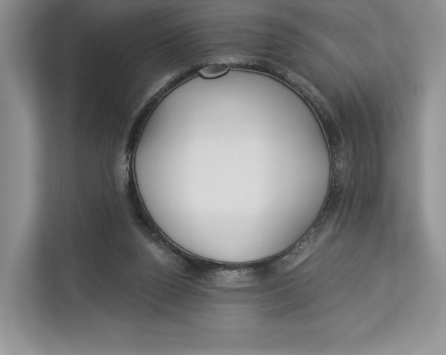 X0000112940160200909141354