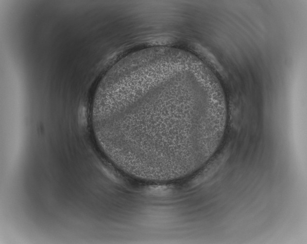 X0000112940161200909141354