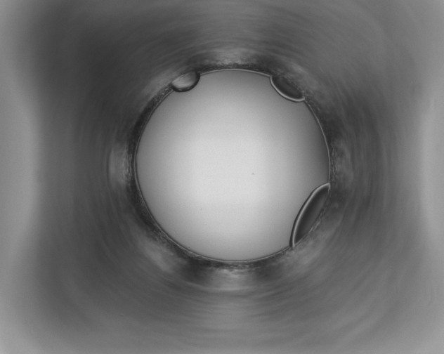 X0000112940164200909141354
