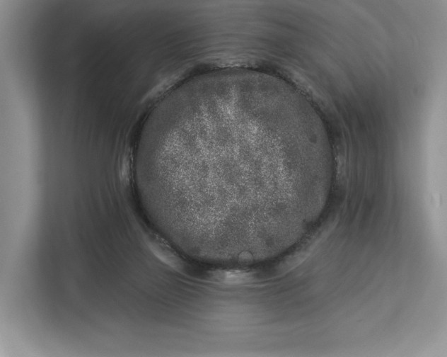 X0000112940165200909141354