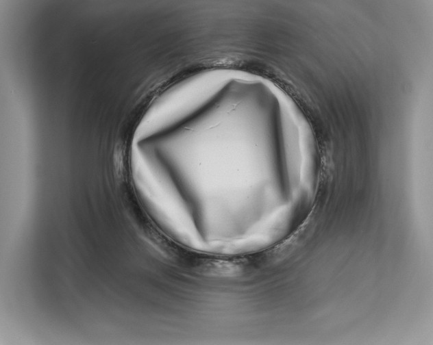 X0000112940166200909141354