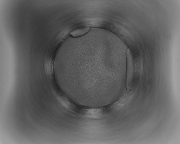 X0000112940168200909141354
