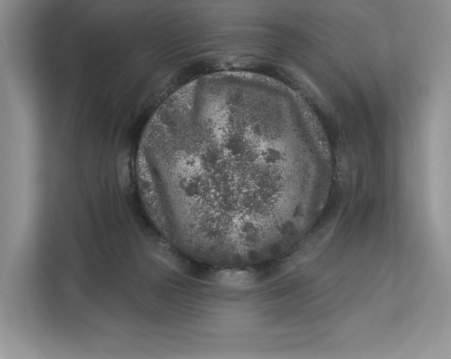 X0000112940169200909141354