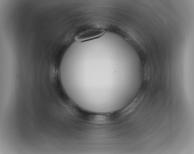 X0000112940176200909141354