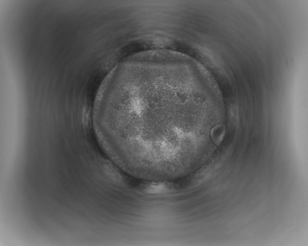 X0000112940177200909141354