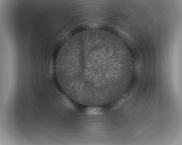 X0000112940181200909141354