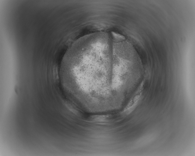 X0000112940182200909141354