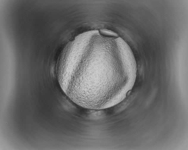 X0000112940185200909141354