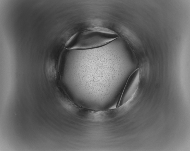 X0000112940186200909141354
