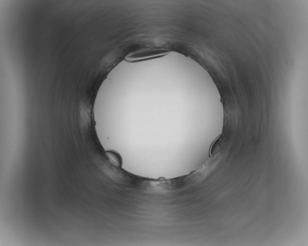 X0000112940188200909141354
