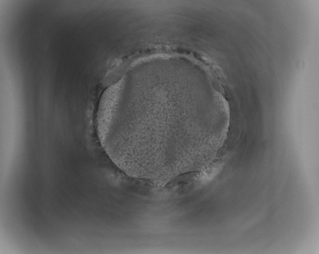 X0000112940192200909141354