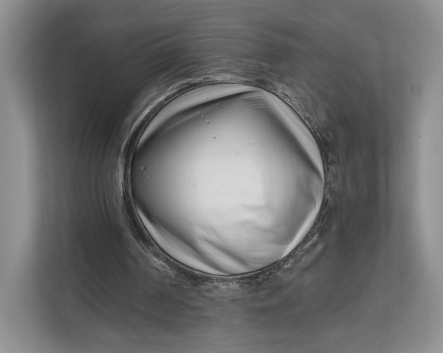 X0000112940194200909141354