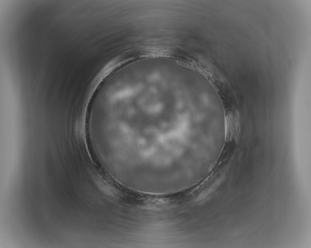 X0000112940195200909141354