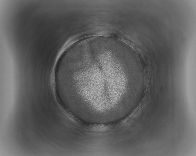 X0000112940198200909141354