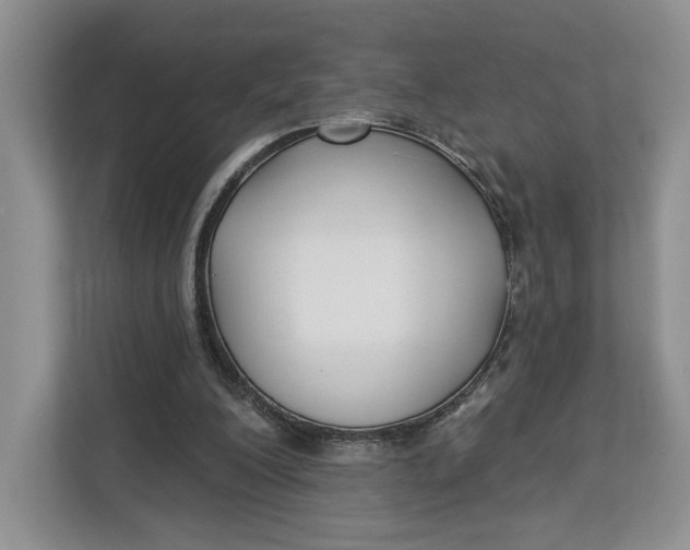X0000112940200200909141354