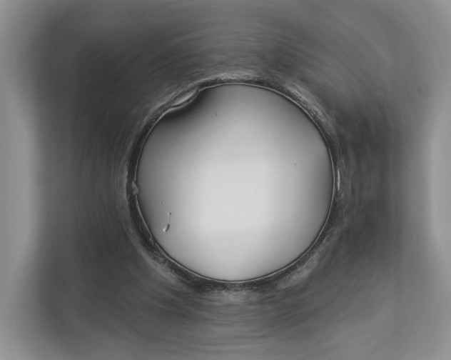 X0000112940201200909141354
