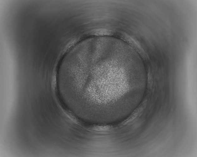 X0000112940202200909141354