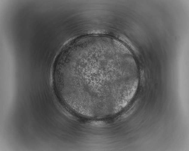 X0000112940203200909141354