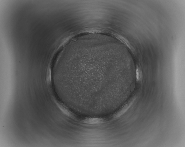 X0000112940205200909141354