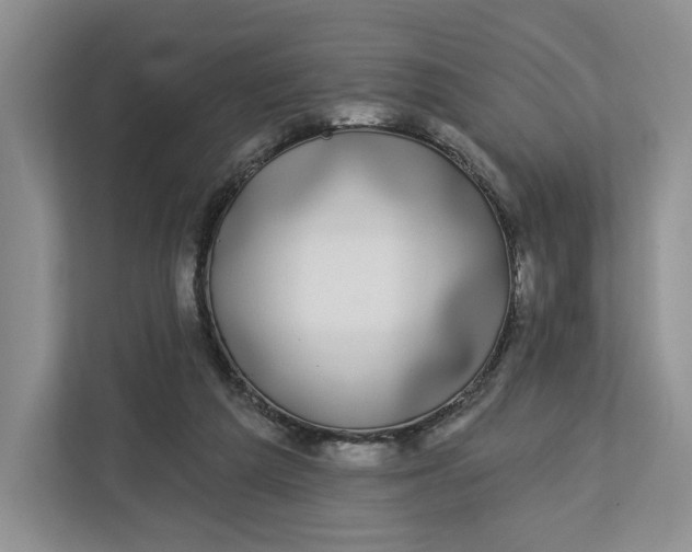 X0000112940209200909141354