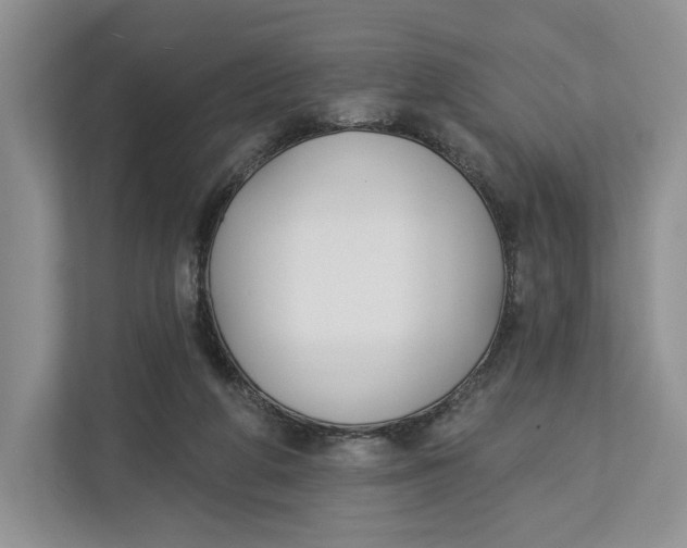 X0000112940210200909141354