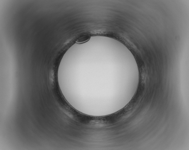 X0000112940211200909141354