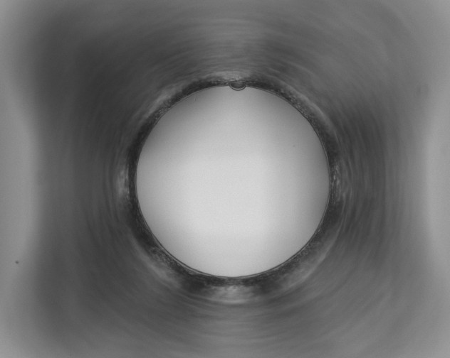 X0000112940212200909141354