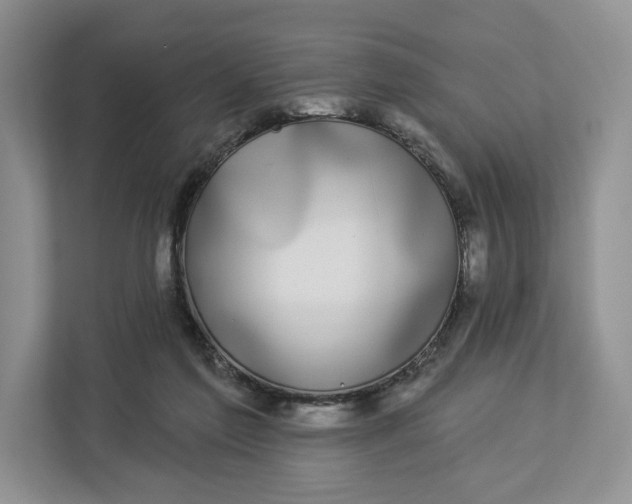 X0000112940213200909141354
