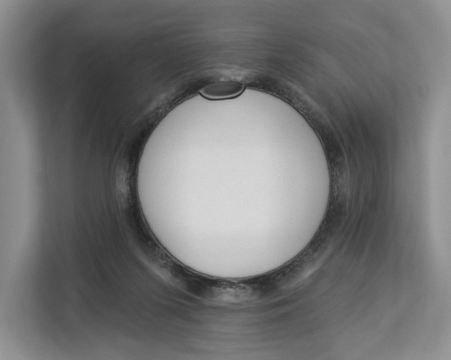 X0000112940215200909141354