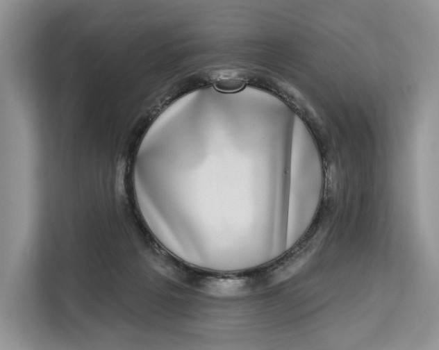 X0000112940217200909141354