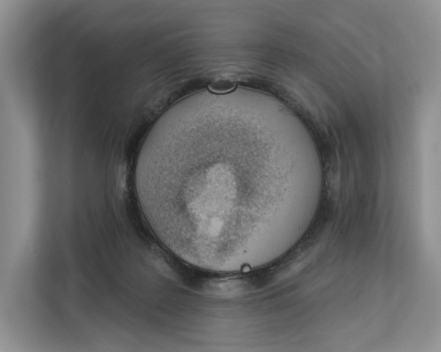 X0000112940219200909141353