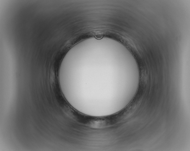 X0000112940220200909141353