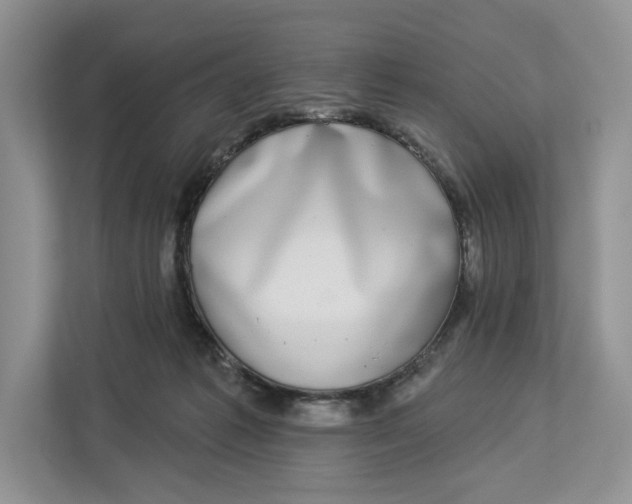 X0000112940221200909141353