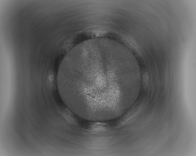 X0000112940222200909141353