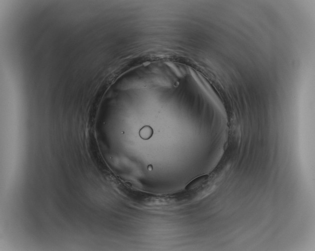 X0000112940223200909141353