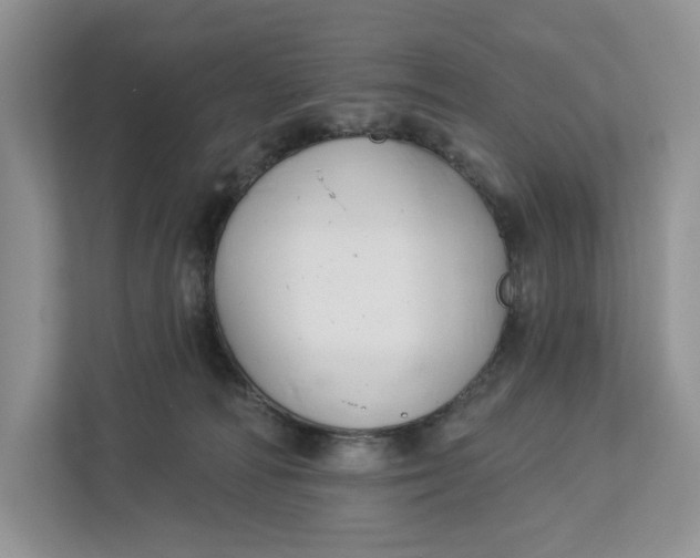 X0000112940226200909141353
