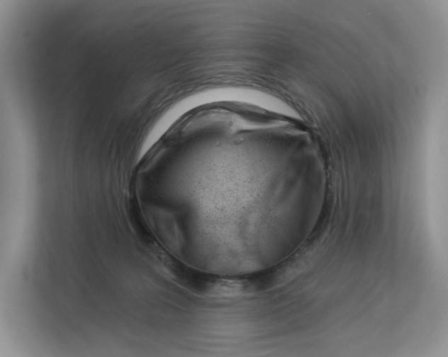 X0000112940227200909141353