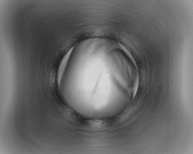 X0000112940230200909141353