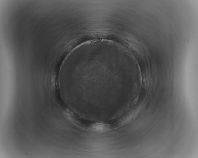 X0000112940231200909141353