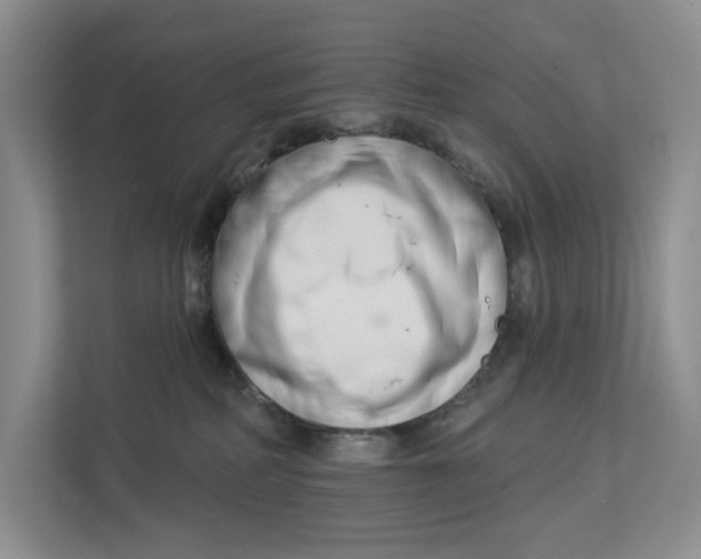 X0000112940234200909141353