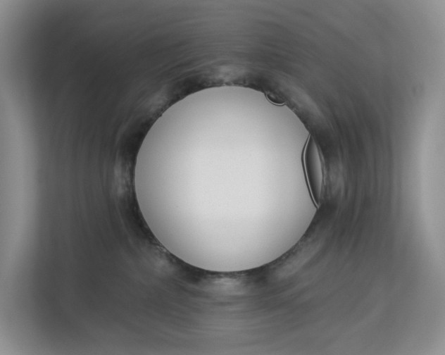 X0000112940236200909141353