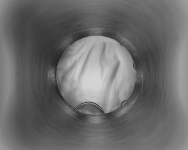 X0000112940238200909141353