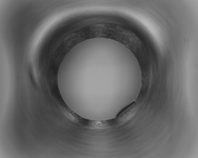 X0000112940239200909141353