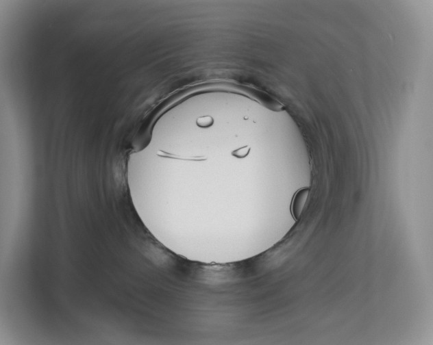 X0000112940240200909141353