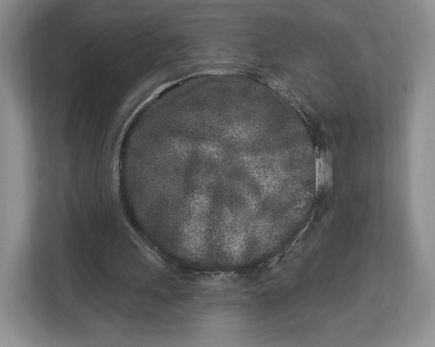 X0000112940243200909141352