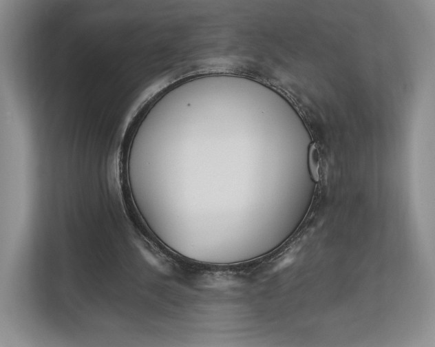 X0000112940244200909141352