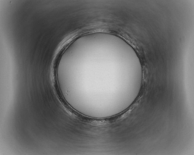 X0000112940245200909141352