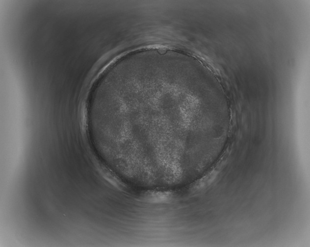 X0000112940247200909141353