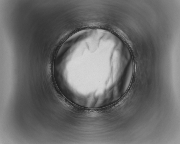 X0000112940249200909141353